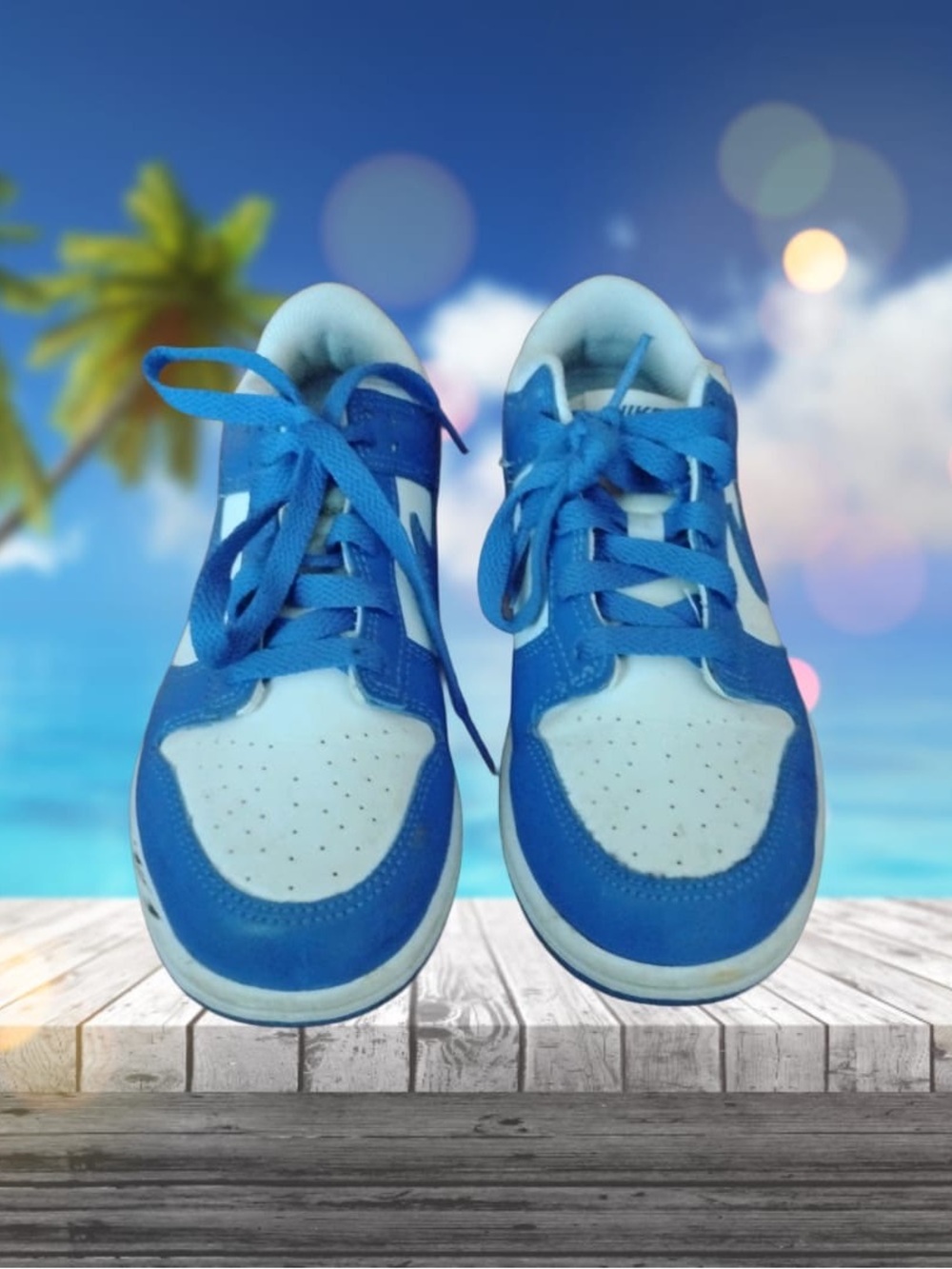 Nike Dunks Blue and White Kids Low-Top Sneakers